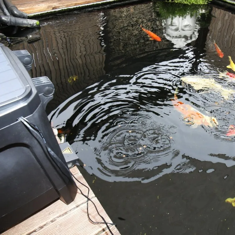 JBL PROPOND AutoFood (Weatherproof Solar Feeder For All Koi And Pond Fishes)