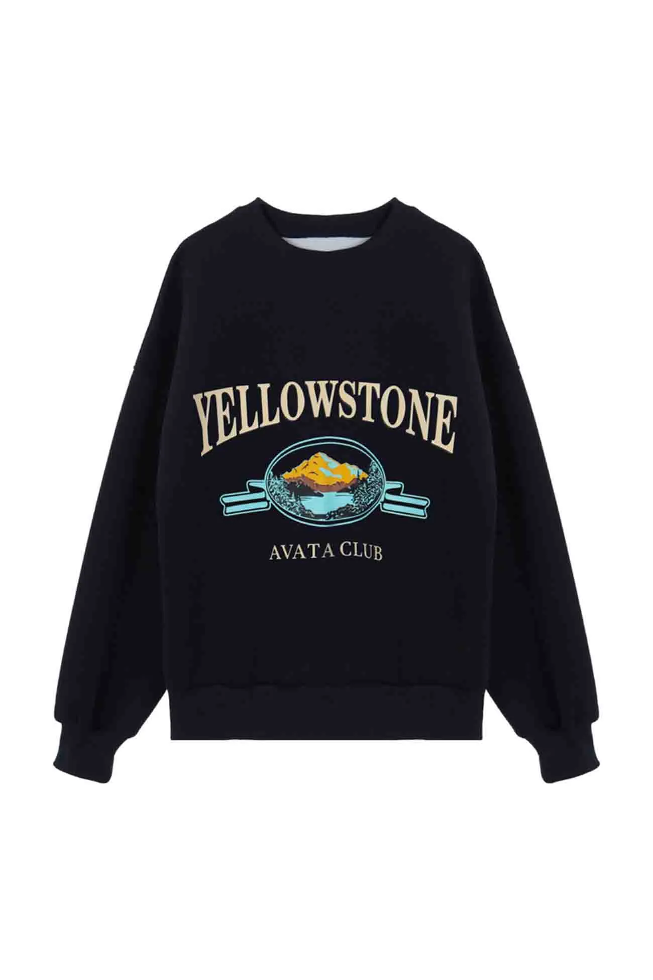 Navy blue Printed Crew Neck Long Sleeve Sweatshirt