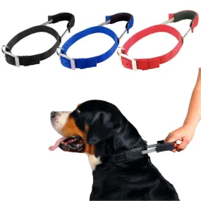 Patento Basic Dog Collar with Quick Grab Integrated Handle