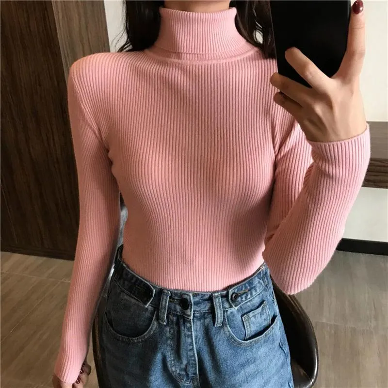 Slim Turtle Neck Pullover Sweater