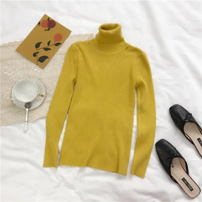 Slim Turtle Neck Pullover Sweater