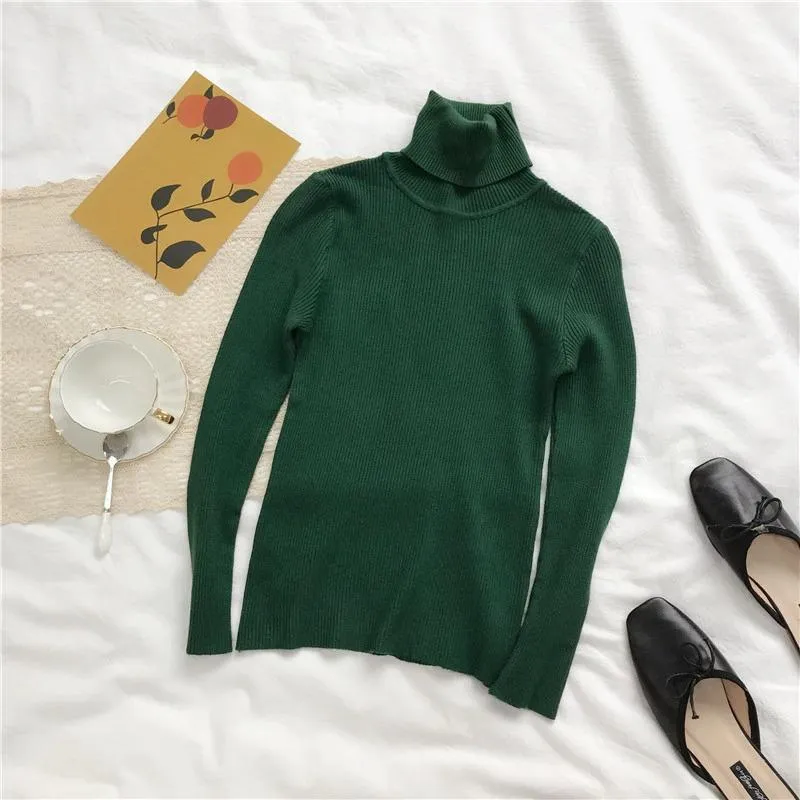 Slim Turtle Neck Pullover Sweater