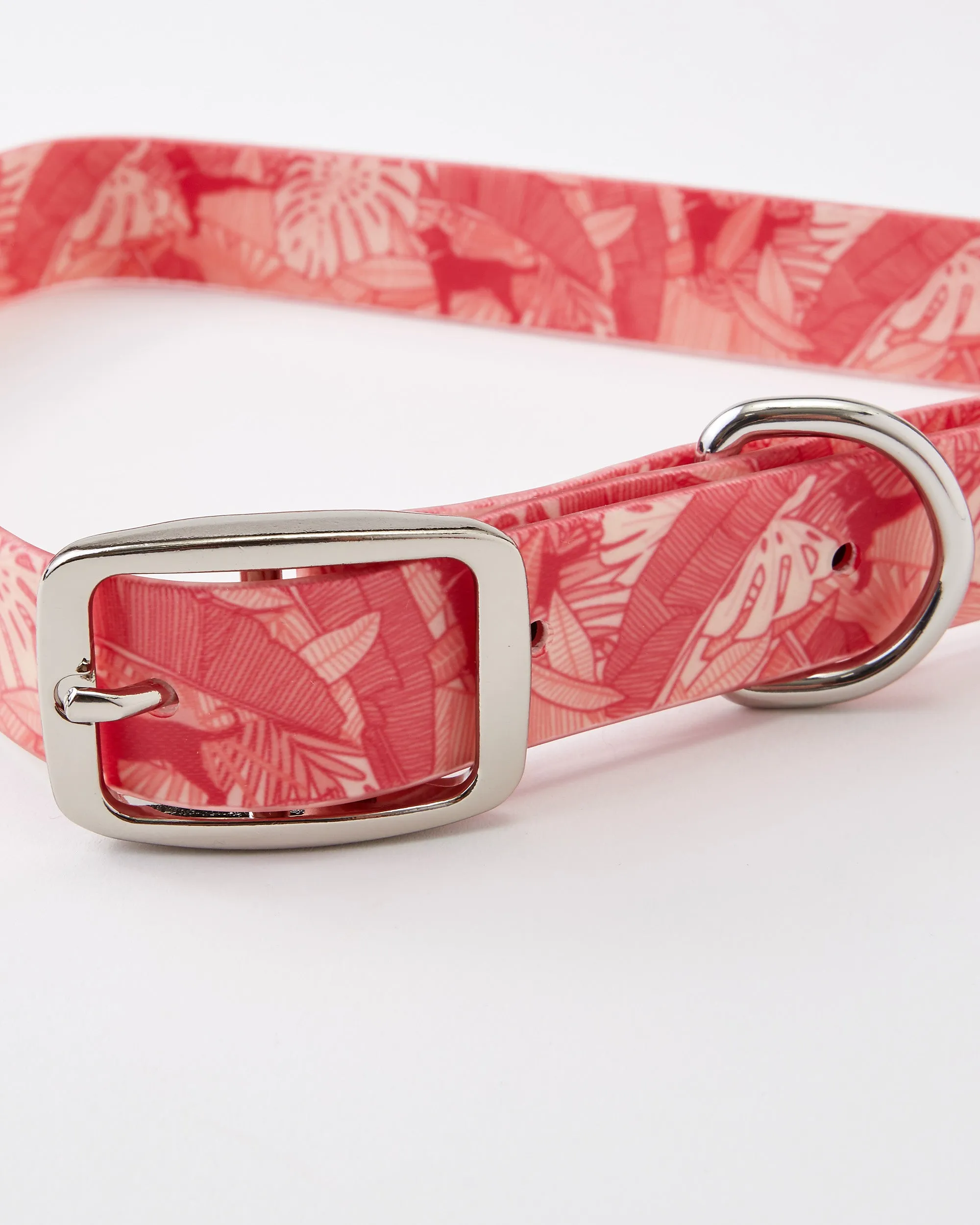 Tropics Waterproof Nylon Dog Collar